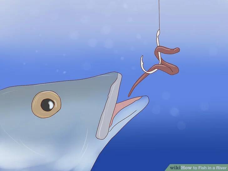 How to Fish for Sturgeon: 7 Steps (with Pictures) - wikiHow